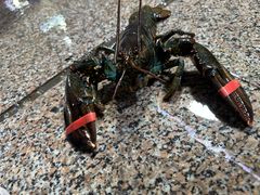 -望海潮海鲜店 特色家常菜(在海一方店)