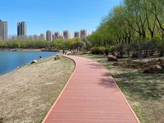 -丁香湖公园