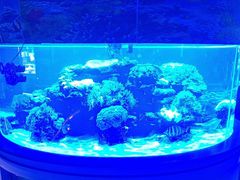 -上和臻品中国菜(花园街店)