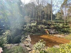 -青城山