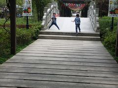 -白马涧龙池景区