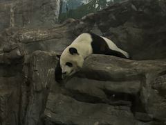 -鄂尔多斯野生动物园