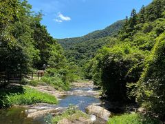 -马峦山郊野公园