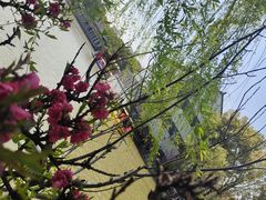 -南汇桃花村