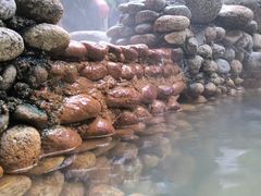 -三江森林温泉度假区