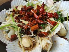 油泼扇贝-鲁前海沿儿