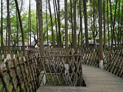 -乌镇东栅景区