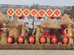 -武汉紫薇都市田园