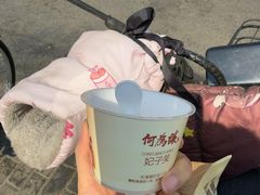 -大鸭梨烤鸭店(花园村店)