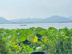 -湖畔居茶楼(湖滨店)