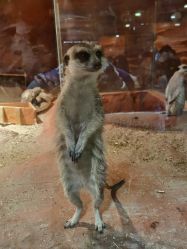 -酷嗒动物文化乐园(cutezoo西溪乐天城店)