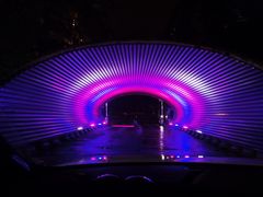-枫花园汽车电影院(朝阳公园店)