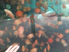 -天山海世界·米立方