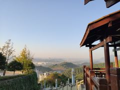 -铁山坪森林公园