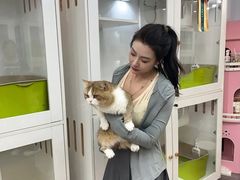 -青奢宠物·青奢猫舍