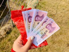 -宝岩生态观光园