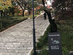 -新罗免税店(首尔总店)