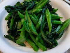 清炒菜心-椿记烧鹅(叠彩店)