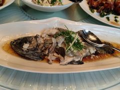 -中国坊中餐厅(石家庄希尔顿酒店)