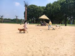 -上海月湖雕塑公园