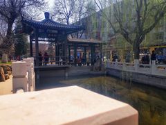 -桃花堤公园