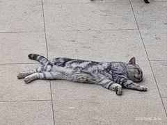 -琳琳舞厅