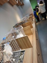 -Moni星球萌宠·小马宝莉·灵蛇·高端高阶全萌宠互动体验俱乐部(红豆国际广场店)