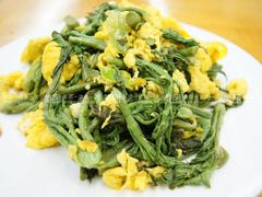 赤嫩芽炒鸡蛋-河鱼鲜特色农家院