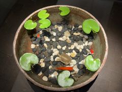 -曲水兰亭(北京四惠店)