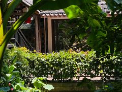 -杭州半山国家森林公园