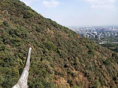 -杭州半山国家森林公园