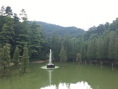 -广州市帽峰山景区