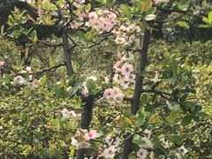 -白塘生态植物园