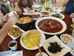 -龙翔山庄雷鸡肉(青城后山泰安古镇店)