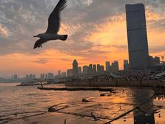 -星海广场