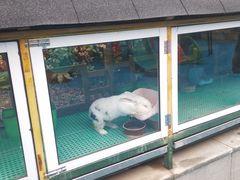 -上海崇明金茂凯悦酒店