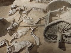 -洛阳周王城天子驾六博物馆