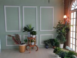 点击看大图 -小熊维尼高端儿童摄影(宝安旗舰店)