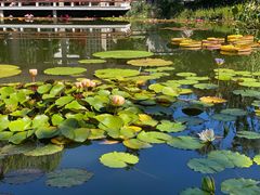 -国家植物园南园