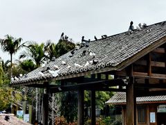 -厦门园林博览苑