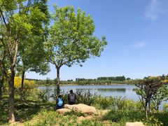 -东郊湿地公园