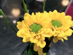 -JUN PASTRY(南通市圆融购物中心工农路店)