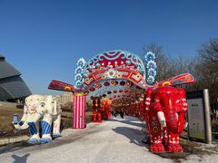 -沈阳奥体冰雪嘉年华