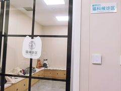 -美联众合爱康动物医院•复杂内科•肿瘤科•牙科•腔镜诊疗中心