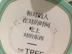 杯垫-大树餐厅(红旗街万达店)