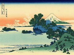 -梨花参鸡汤