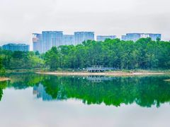 -聚龙山公园