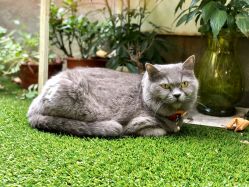 -EasyLady美甲沙龙