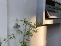 -鲜芋仙(观音桥大融城LG店)