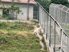 -石家庄市动物园